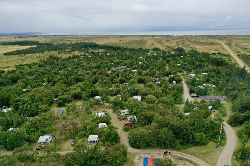 Je krijgt het gevoel midden in het bos te verblijven, terwijl je tegelijkertijd het ruisen van de Noordzee hoort.