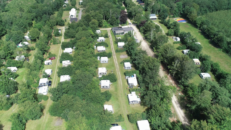 Kinderen, volwassenen en honden... iedereen is welkom op de camping in het bos.