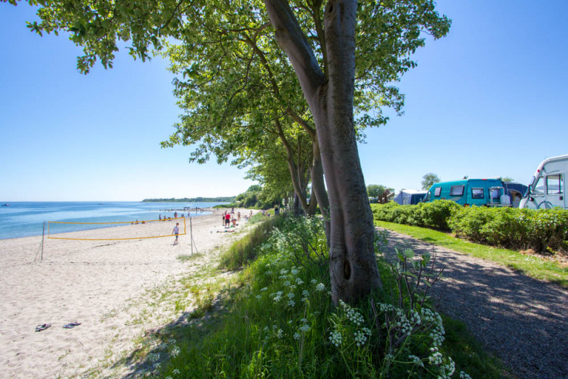 Gammelbro Camping is een rustige en aantrekkelijke camping. We bieden activiteiten voor jong en oud, en de ligging direct aan de Lillebælt zorgt voor talloze mogelijkheden.