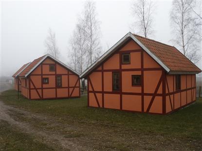 Dicht bij meer en schapen